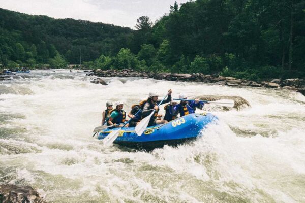 budget Shimla Manali trip