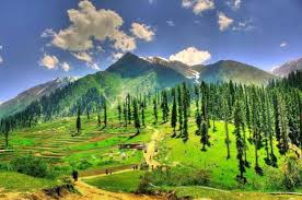 “Explore Naran, Babusar Top & Beyond: Custom Tours for Every Traveler”