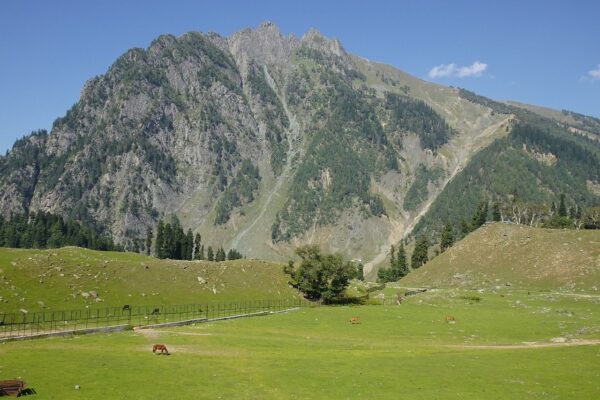 Adventure & Comfort: 3 Days at One of the Best Jim Corbett Resorts Srinagar package from Hyderabad