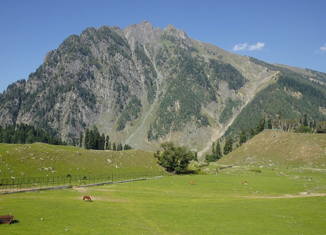 Srinagar package from Hyderabad