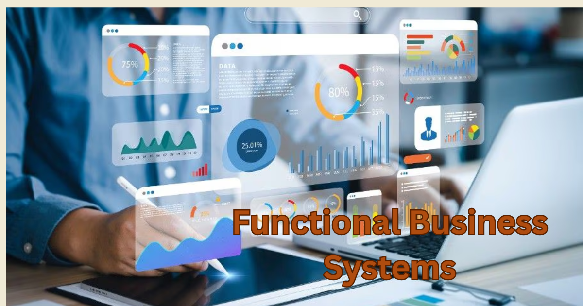 Functional Business Systems