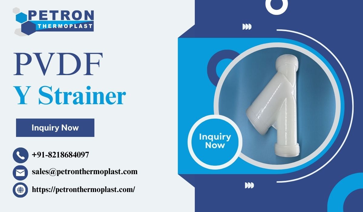 PVDF Y Strainer