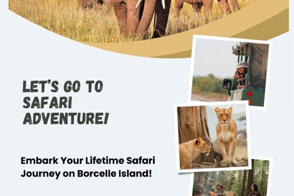 Nairobi National Park Safari Tours: A Complete Guide
