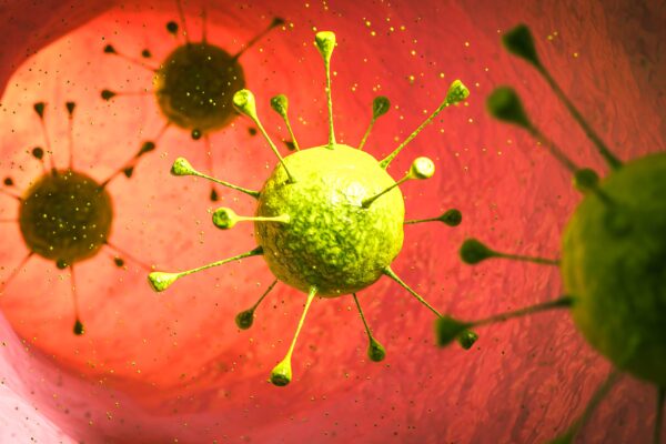 Virus Specific T cells