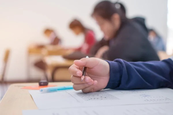 educational consultancy