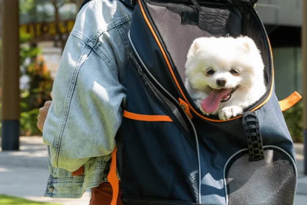 dog pouch carrier
