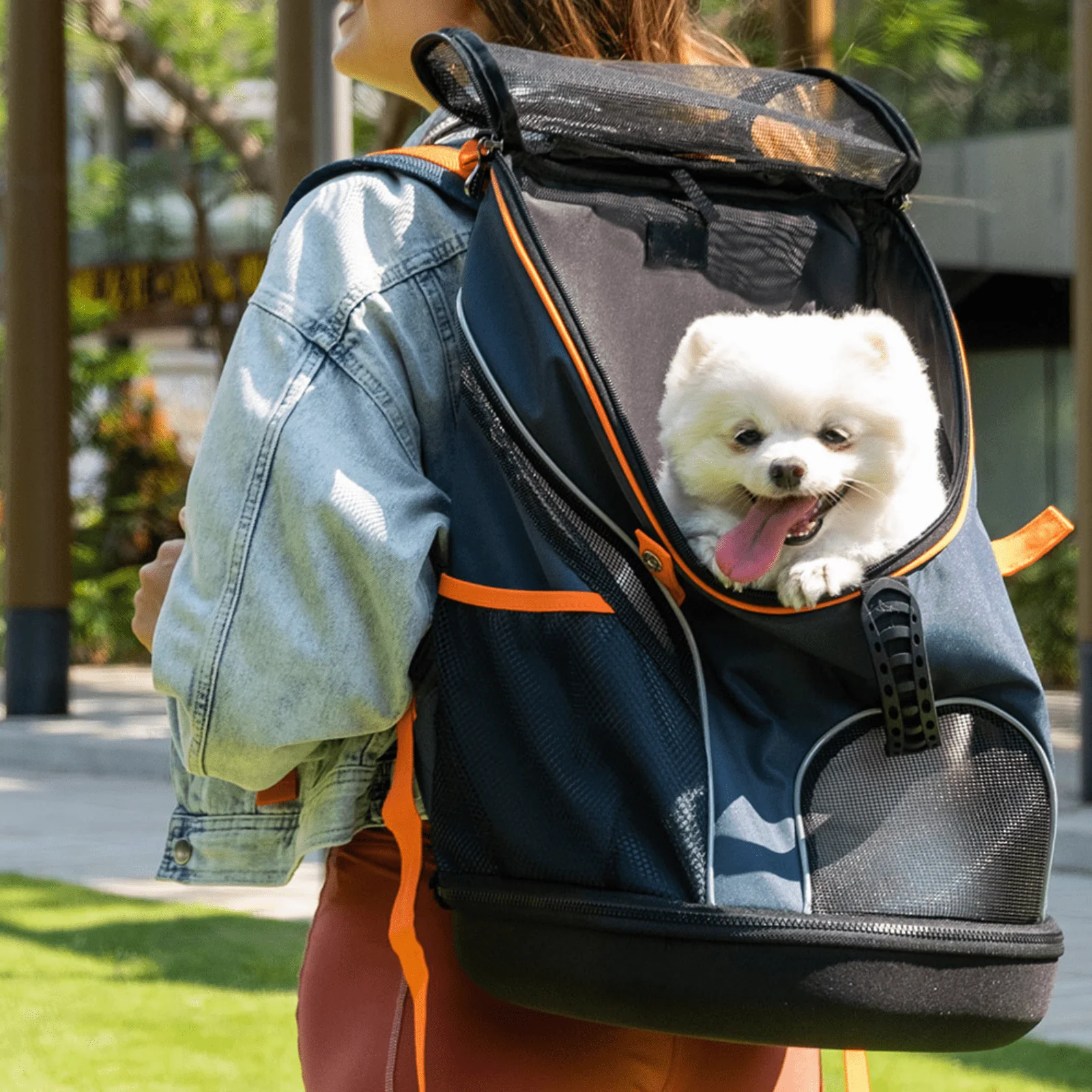dog pouch carrier