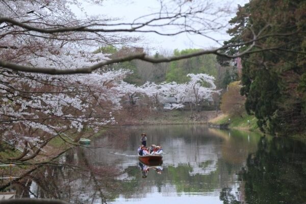guided tours for seniors