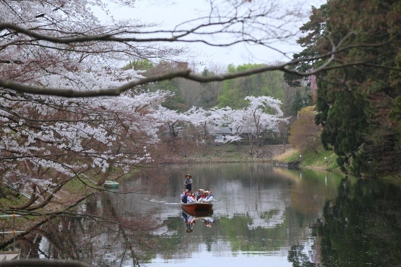 guided tours for seniors