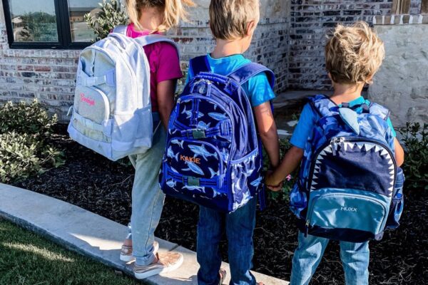 School Transport Aveley