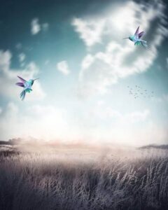 New hd photo editing background