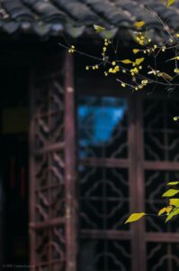 New HD photo editing background