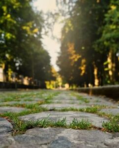 New hd photo editing background